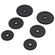 Weight Plates 6 pcs 30 kg Cast Iron