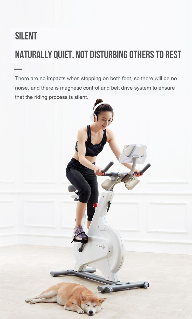 YESOUL M1 Ultra Quiet Smart Indoor Exercise Bike