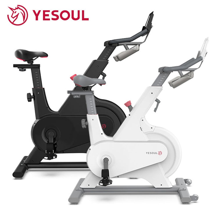 YESOUL M1 Magnetic Resistance Indoor Exercise Bike