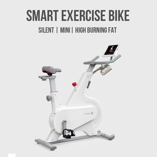 YESOUL M1 Magnetic Resistance Indoor Exercise Bike