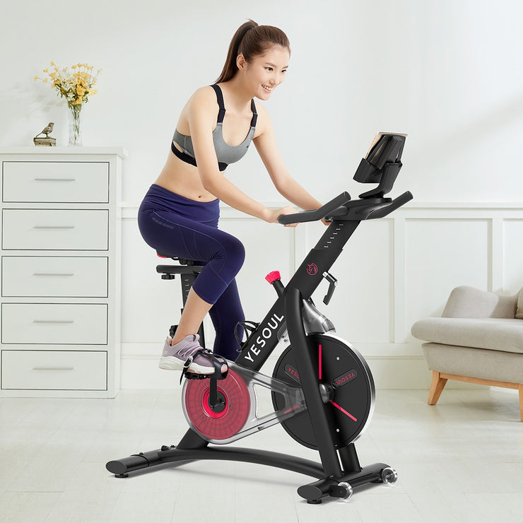 magnetic resistance spin bike